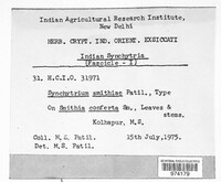 Image Associated With the Occurence